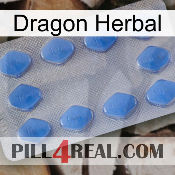 Dragon Herbal 21.jpg